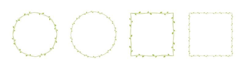 Green vine frames and borders set, floral botanical design element vector illustration