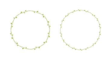Round green vine frames and borders set, floral botanical design element vector illustration