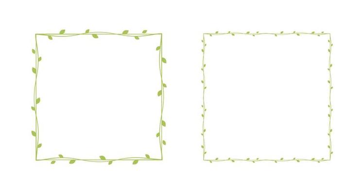 Square green vine frames and borders set, floral botanical design element vector illustration