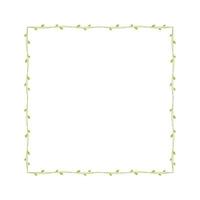 Square green vine frames and borders, floral botanical design element vector illustration