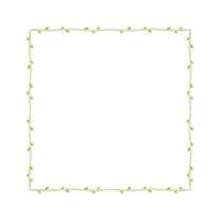 Square green vine frames and borders, floral botanical design element vector illustration