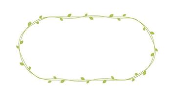 Oval green vine frames and borders, floral botanical design element vector illustration