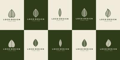 lujo línea hoja logo diseño. línea Arte naturaleza logo. hoja logo conjunto vector