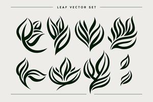 Minimalist leaf logo design. Retro plant logo. Leaf design art vector