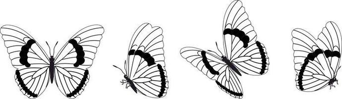 Butterfly silhouette in 4 options vector in isolated background