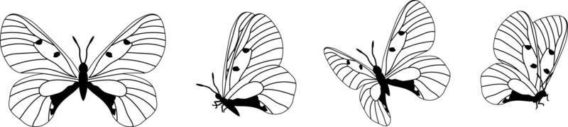 Butterfly silhouette in 4 options vector in isolated background