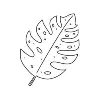 Tropical monstera leaf in hand drawn doodle style. Vector illustration isolated on a white background. Cute for cards, flyers, stickers, textile, web design.