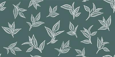 Green tea leaves. Hand drawn, vector. vector