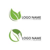 logotipo de vector de energía ecológica con símbolo de hoja. color verde con gráfico de flash o trueno. naturaleza y electricidad renovable. este logo es adecuado para tecnología, reciclaje, orgánico.