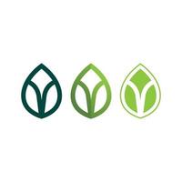 logotipos de la ecología de la hoja del árbol verde vector