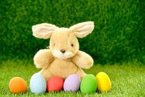 Easter eggs and bunny on grass photo