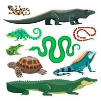 reptiles y anfibios lagarto, cocodrilo, tortuga, serpiente, iguana, salamandra, rana, camaleón. terrario mascota reptil, estanque animales vector conjunto