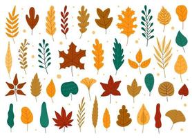 Autumn leaves. Oak, maple, elm dry fallen leaf. Hand drawn fall forest yellow or red foliage. Dried plant leaves, autumnal falling leaf vector set
