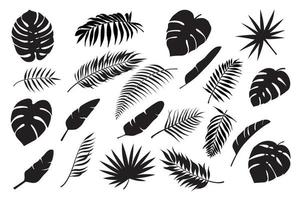 Palm leaves silhouettes. Tropical leaf monstera, banana and coconut. Jungle foliage, exotic rainforest palm tree floral decoration vector set