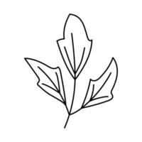 Branch with leaves. Doodle vector illustration.