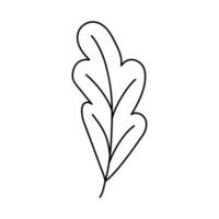 Oak leaf. Doodle vector illustration.