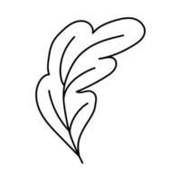 Oak leaf. Doodle vector illustration.