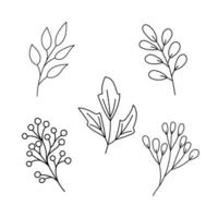 Cute set of branches with berries and leaves. vector