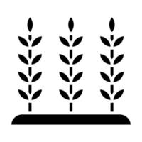 trigo plantación vector icono