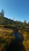 vertical video. rápido vuelo terminado un otoño montaña paisaje, arroyo, arboles video