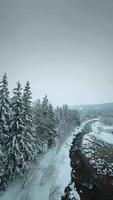 snabb flyg längs en berg flod omgiven förbi en snötäckt skog. video