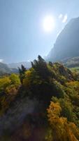 vertical video. rápido vuelo terminado un otoño montaña paisaje, arroyo, arboles video