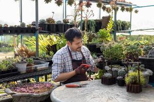 Asian gardener is working inside the greenhouse full of succulent plants collection while propagating by leaf cutting method for ornamental garden and leisure hobby concept
