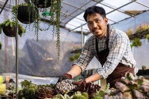 Asian gardener is working inside the greenhouse full of succulent plants collection while checking under leaf for pest and disease for ornamental garden and leisure hobby concept photo