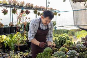 Asian gardener is working inside the greenhouse full of succulent plants collection while propagating by leaf cutting method for ornamental garden and leisure hobby photo