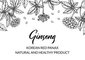 Ginseng horizontal design. Hand drawn botanical vector illustration in sketch style. Can be used for packaging, label, badge. Herbal medicine background