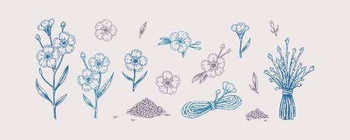 Set of hand drawn flax flowers, branches and seeds. Vector illustration in sketch style for linen seeds and oil packaging