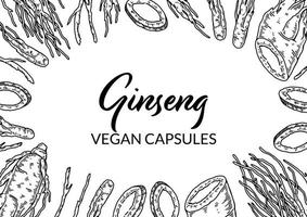 Ginseng horizontal design. Hand drawn botanical vector illustration in sketch style. Can be used for packaging, label, badge. Herbal medicine background