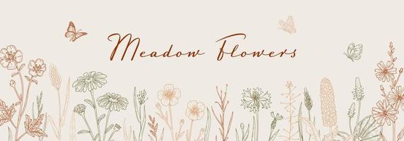 Meadow flowers background. Hand drawn field wildflowers border. Vector illustration in sketch style. Aesthetic botany horizontal design