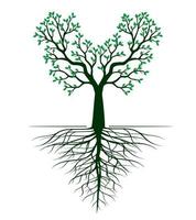 Shape of green Tree with Leaves and Roots. Vector outline Illustration.