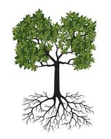 Green Tree with Roots. Vector outline Illustration. Plant in Garden.