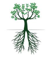 Green spring Tree wth Roots. Vector Illustration.