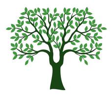 Shape of green Tree with Leaves. Vector outline Illustration.