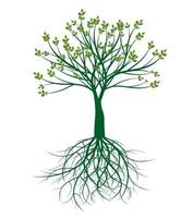 Green spring Tree wth Roots. Vector Illustration.