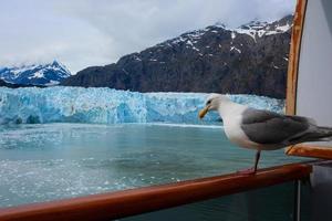 un Gaviota volador solo en el Oceano ondas. un adorable blanco Gaviota con gris alas y amarillo pico en pie en contra borroso antecedentes de naturaleza en tiempo de día foto