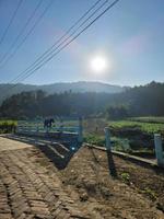 Beautiful Sunny Hill Track View photo