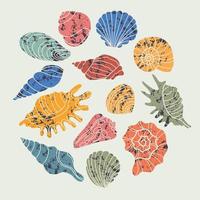 Vector seashells. Collection of hand drawn sea shells. Sea shellfish illustration. Colorful seashells isolated on a light background.