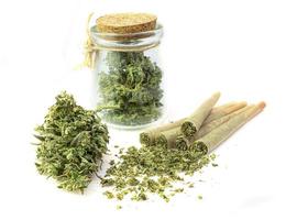 Pre-Roll cannabis joint with cannabis buds in a clear glass jar on the white background photo