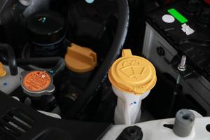 Windshield washer bottle cap photo