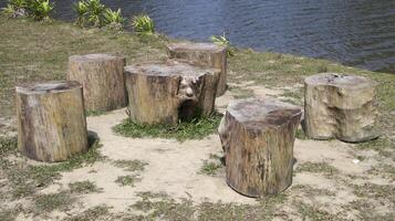 Stumps or wooden log as a chair a place for sitting and relax near the lake. photo