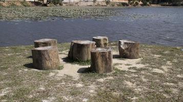 Stumps or wooden log as a chair a place for sitting and relax near the lake. photo