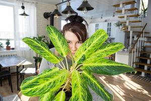 A happy woman in a green house with a potted plant in her hands smiles, takes care of a flower. The interior of a cozy eco-friendly house, a fireplace stove, a hobby for growing and breeding homeplant photo