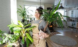 un contento mujer en un verde casa con un en conserva planta en su manos sonrisas, toma cuidado de un flor. el interior de un acogedor Respetuoso del medio ambiente casa, un hogar cocina, un pasatiempo para creciente y cría planta de casa foto