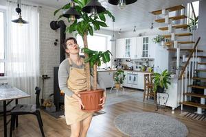 A happy woman in a green house with a potted plant in her hands smiles, takes care of a flower. The interior of a cozy eco-friendly house, a fireplace stove, a hobby for growing and breeding homeplant photo