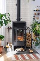 Black Metal Steel fireplace stove with fire and firewood in green home with indoor plant in flower pot in village house. Cozy home hearth in interior with potted plants photo