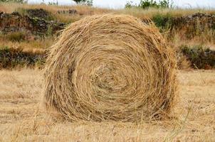 Bale of Hay photo